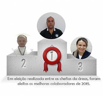 Colaborador do ano 2015